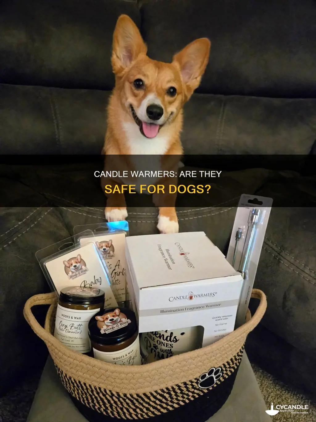 what candle warmers bad for dogs