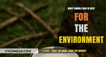 Eco-Friendly Candle Wax: Sustainable Choices for a Greener Home