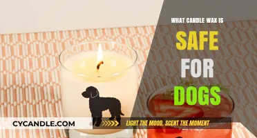 Pet-Safe Candle Wax: Choosing Dog-Friendly Options for Your Home