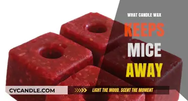 Natural Mouse Repellent: Best Candle Wax to Keep Mice Away