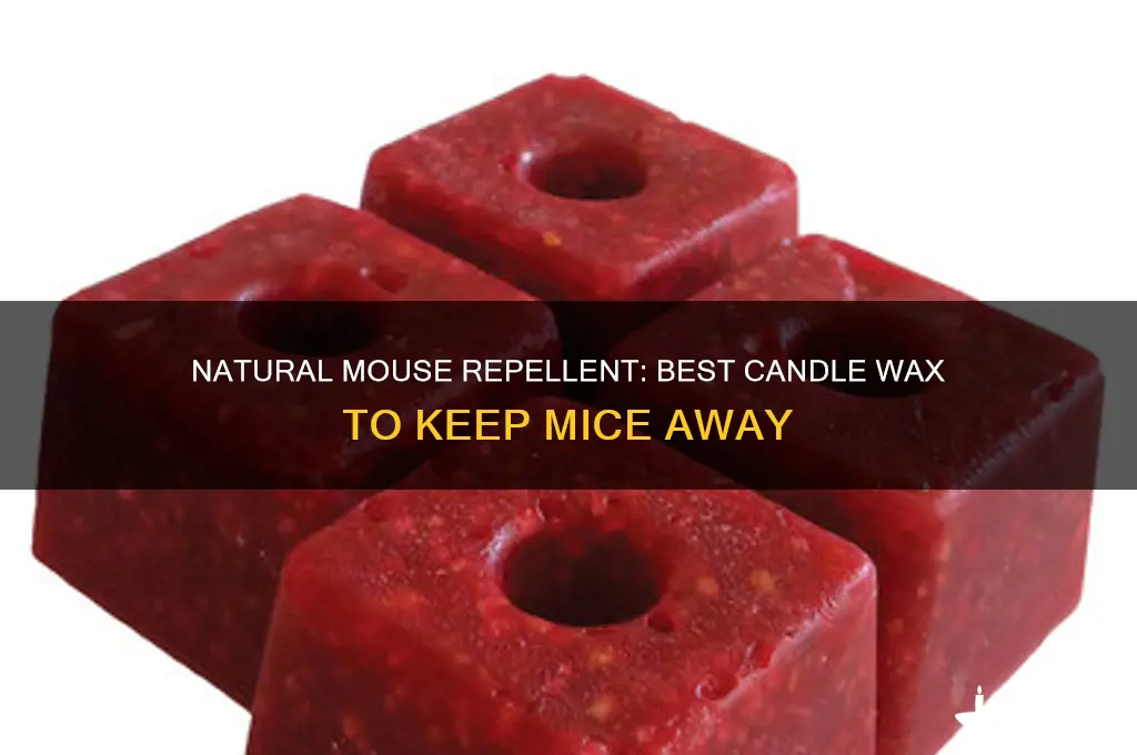 what candle wax keeps mice away