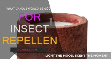 Best Insect-Repelling Candles for a Pest-Free Summer
