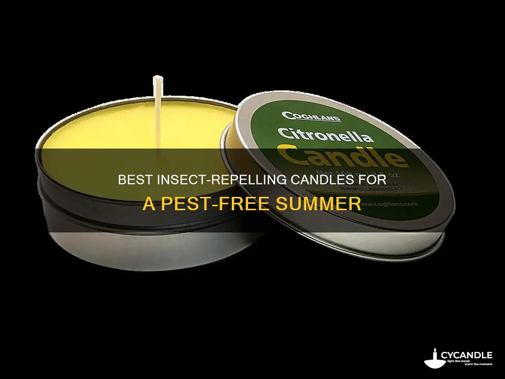 what candle would be good for insect repellent