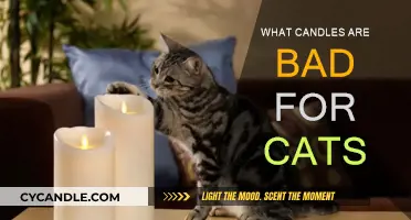 Candles and Cats: What Scents Are Toxic?