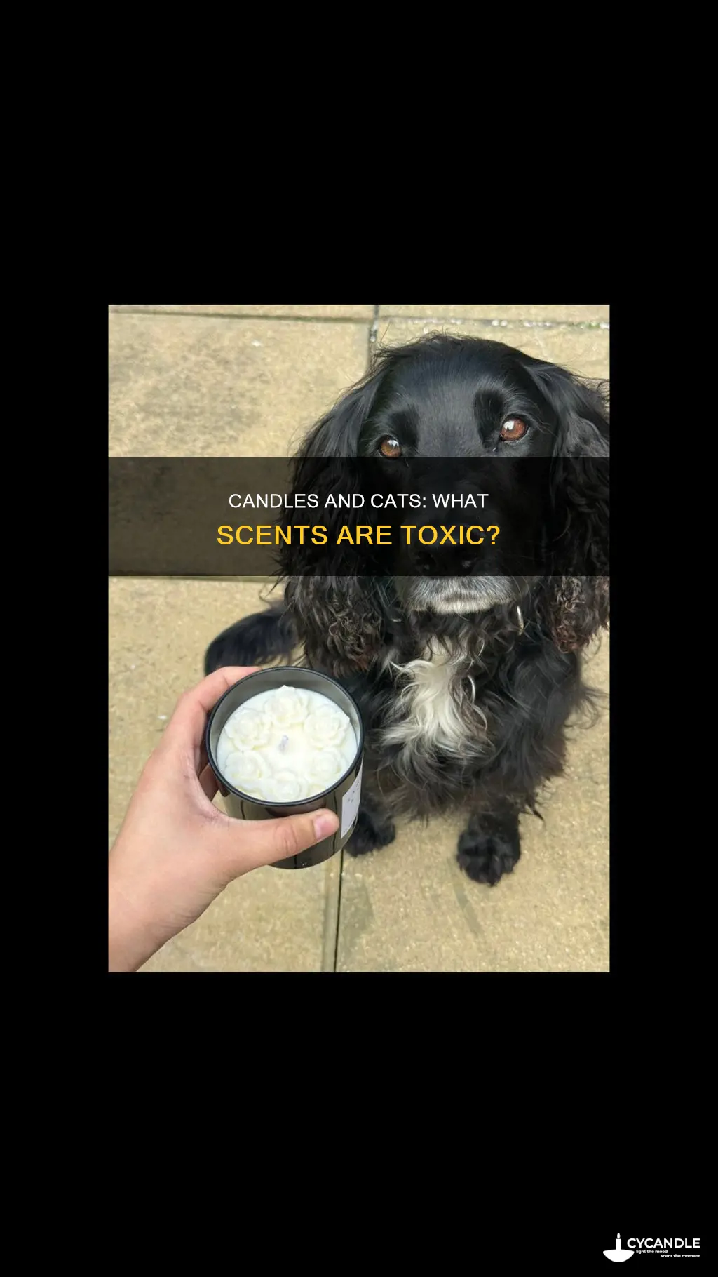 what candles are bad for cats