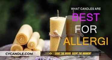 Best Candles for Allergies: Natural Wax and Essential Oils