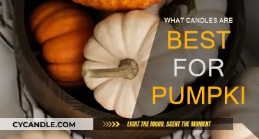 Best Candles for Pumpkins: A Warm and Cozy Guide