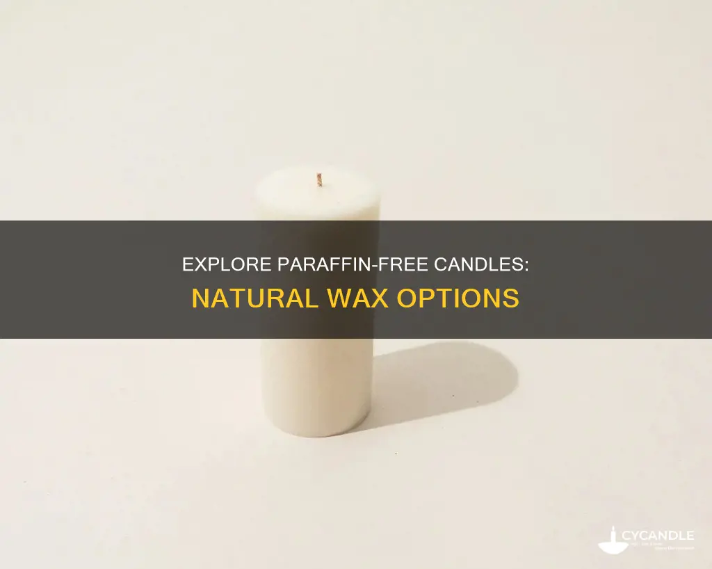 what candles are paraffin free