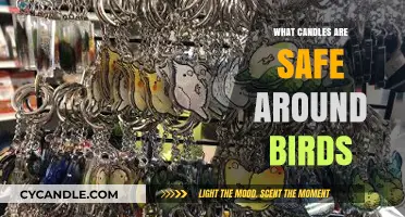 Bird-Safe Candles: Choosing Non-Toxic Options for Your Feathered Friends