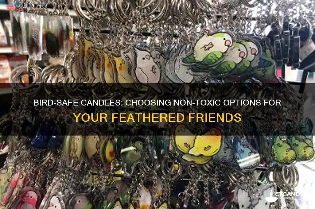 what candles are safe around birds