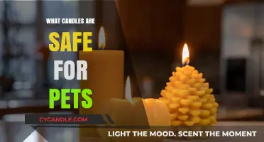 Pet-Safe Candles: Choosing Aromatic Ambiance Without Risking Your Furry Friends