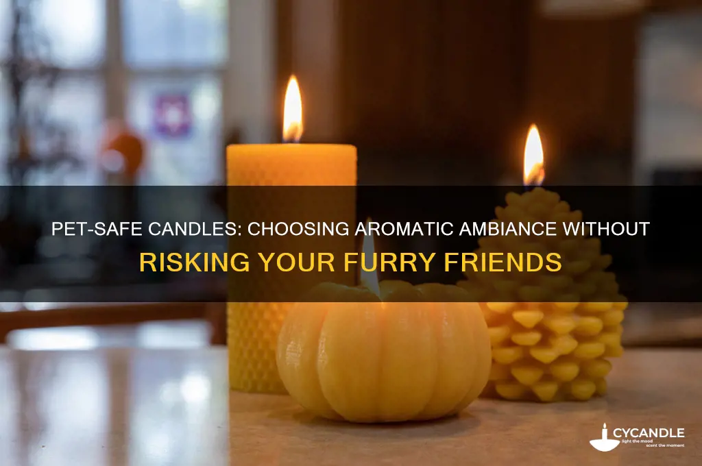 what candles are safe for pets