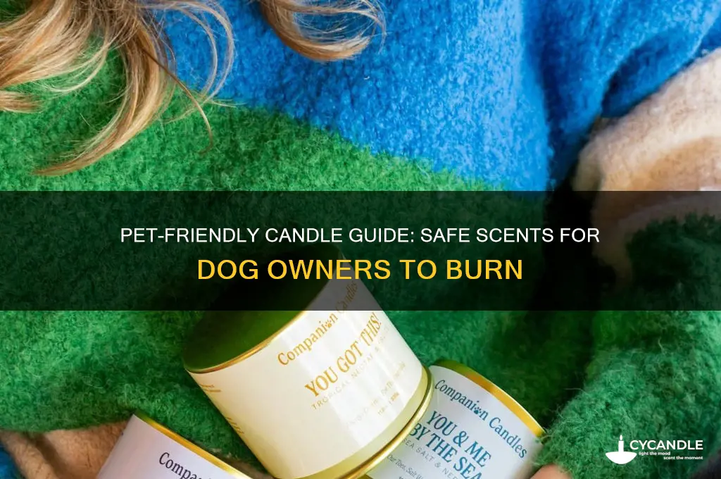 what candles are safe to burn around dogs