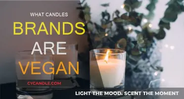 Vegan Candles: Brands to Buy and Burn