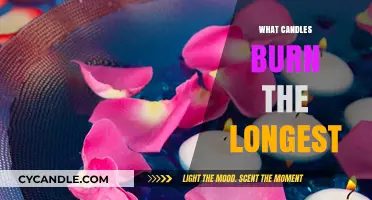 Longest Burning Candles: Top Picks for Extended Ambiance and Value