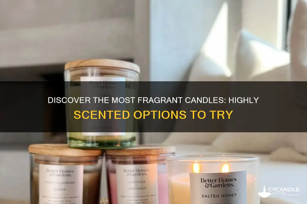 what candles can be considered highly scented