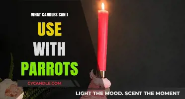 Safe Candle Choices for Parrots: A Guide for Bird Owners