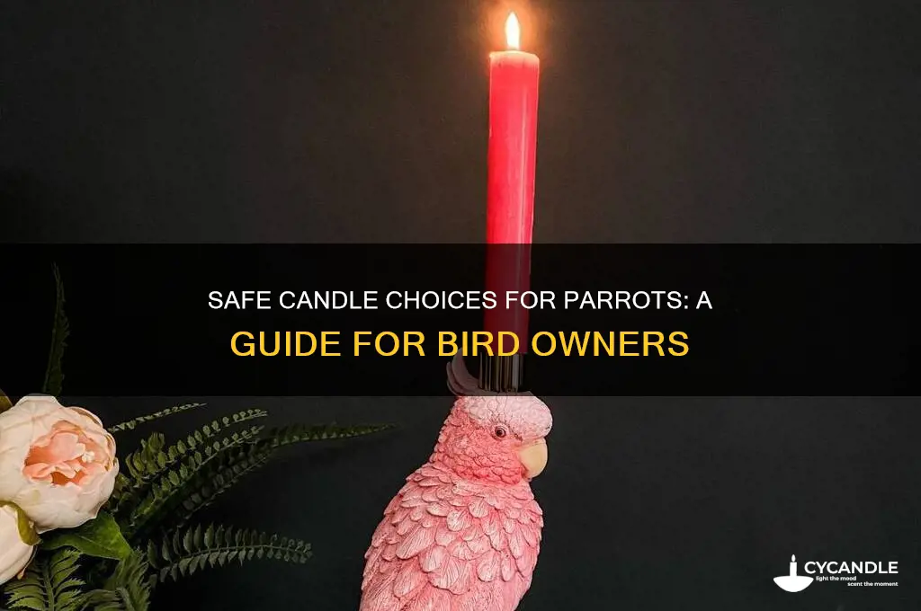 what candles can i use with parrots