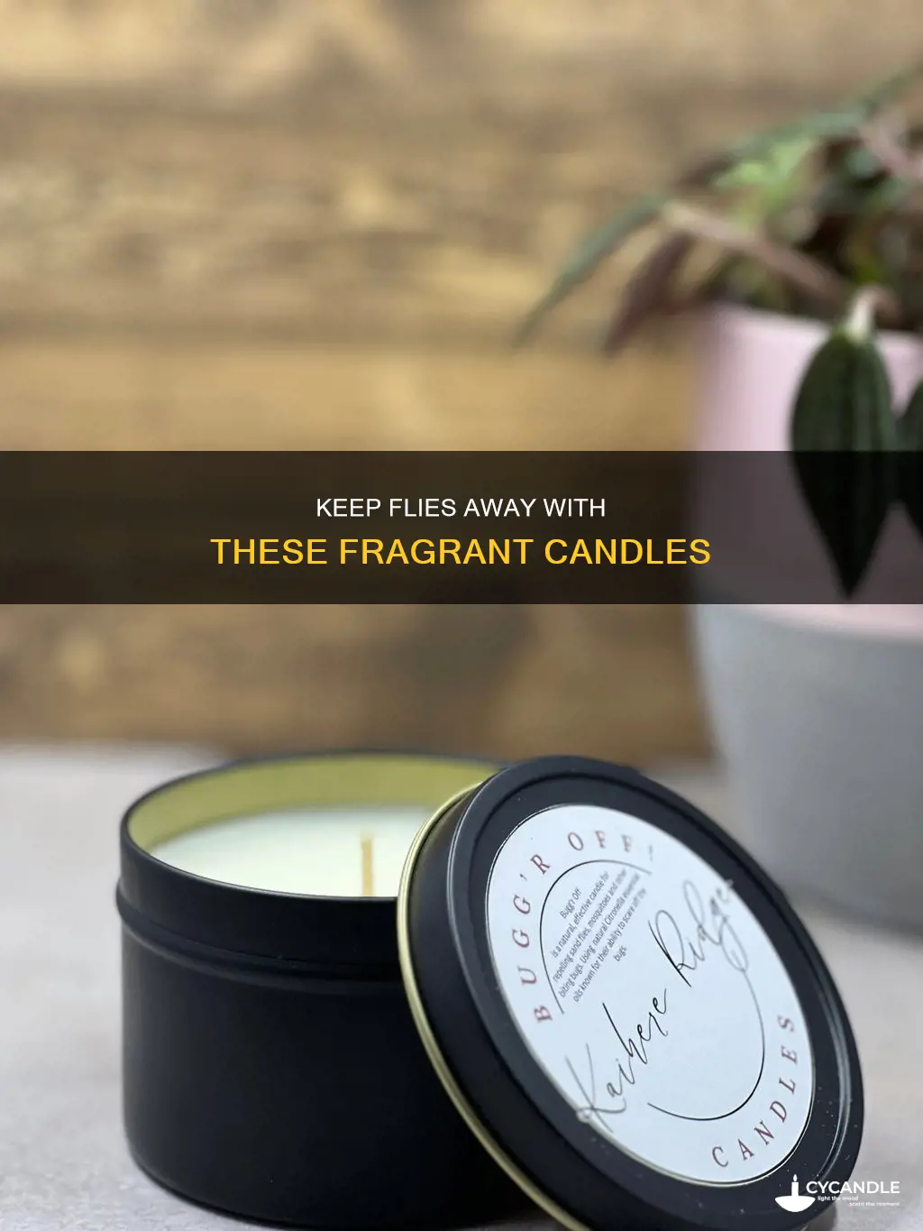 what candles do flies hate