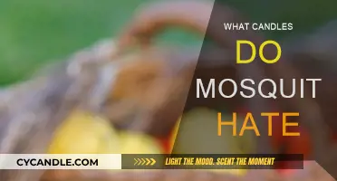 Mosquito-Repelling Candles: Scents They Hate, You Love