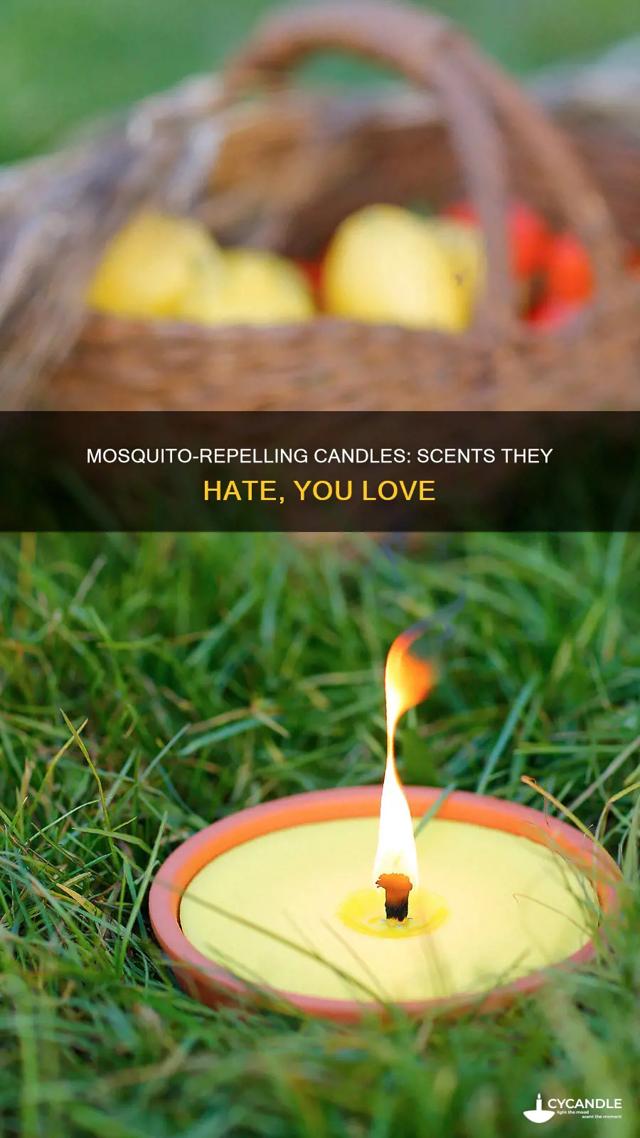 what candles do mosquitoes hate