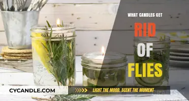 Effective Fly Repellent Candles: Natural Solutions to Keep Flies Away