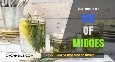 Effective Candles to Repel Midges: Natural Solutions for Pest-Free Evenings