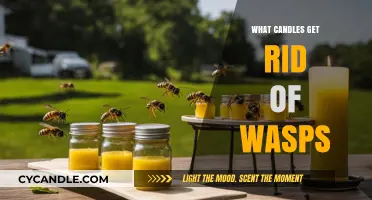 Effective Candles to Repel Wasps: Natural Solutions for a Pest-Free Space