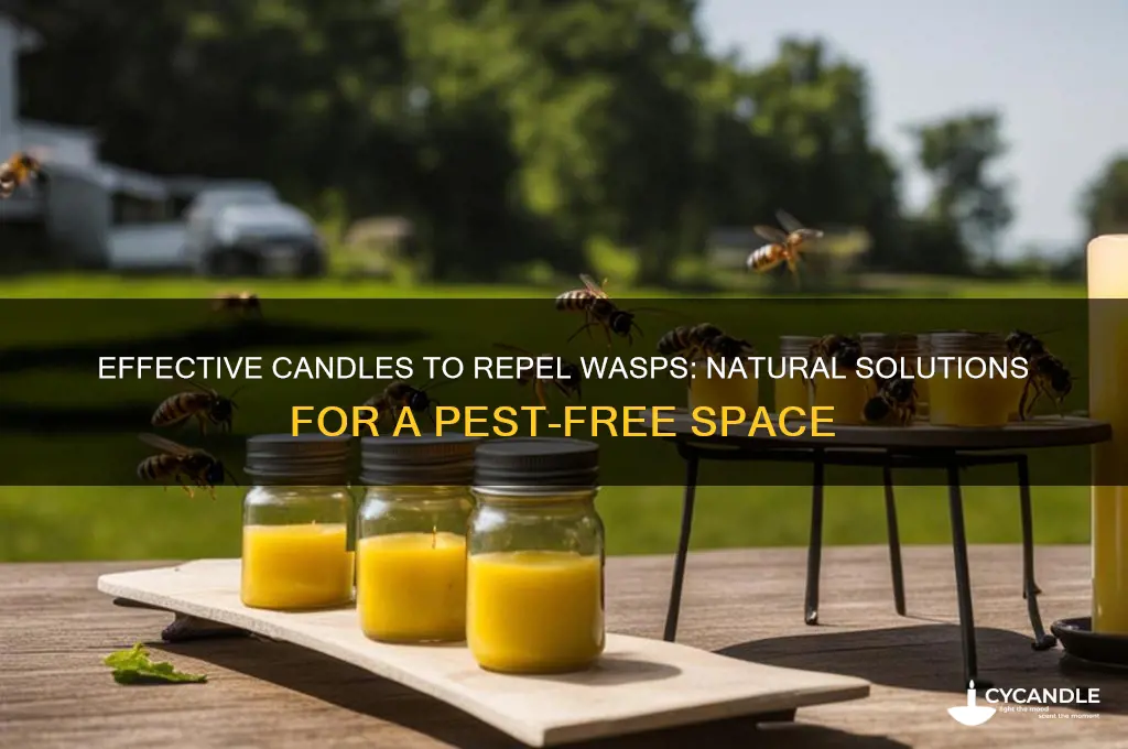 what candles get rid of wasps