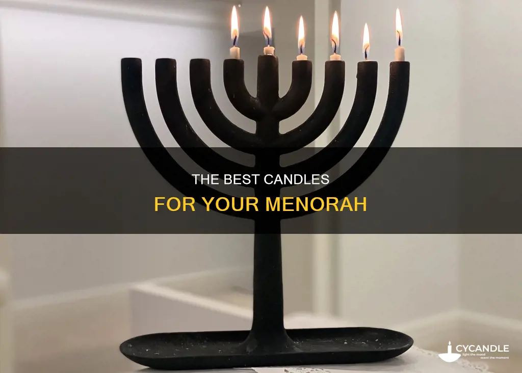 what candles go in menorah