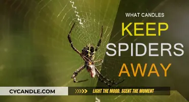 Citrus candles: Natural spider repellent for your home