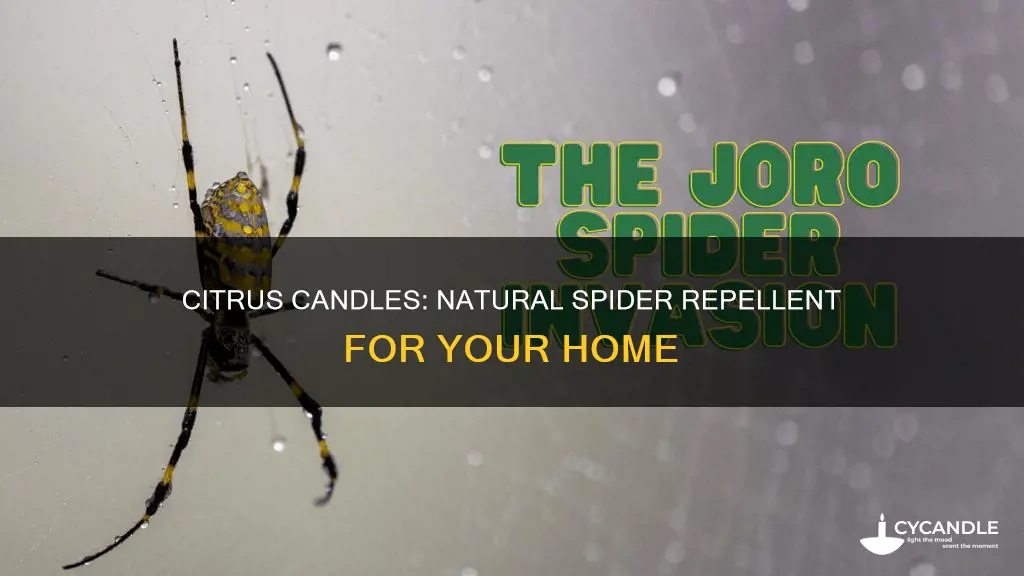 what candles keep spiders away