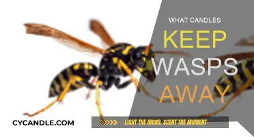 Citronella Candles: Natural Wasp Repellent for Your Home