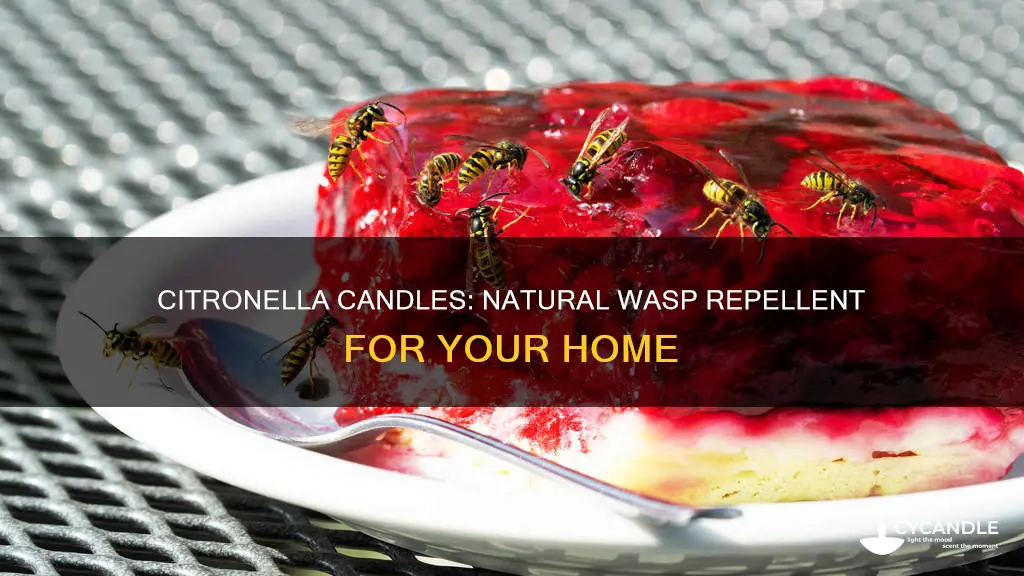 what candles keep wasps away
