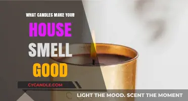 Best Scented Candles to Transform Your Home's Ambiance and Fragrance