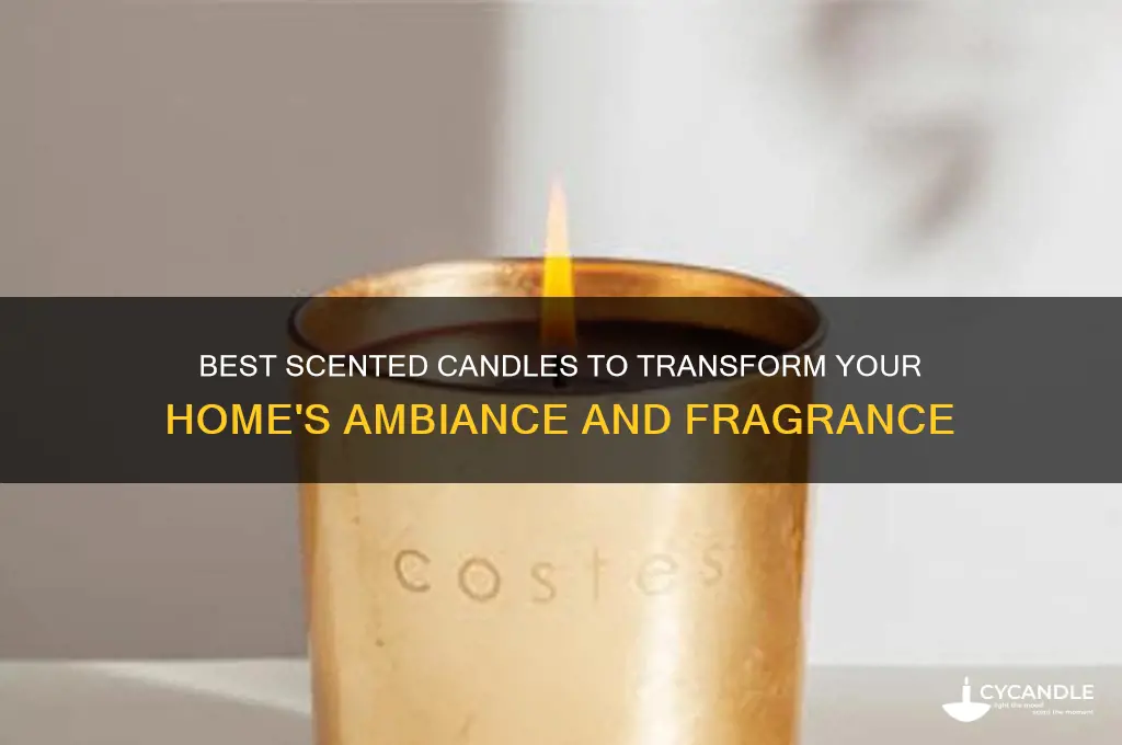 what candles make your house smell good