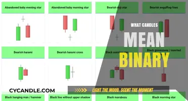 Decoding Binary Secrets: The Hidden Meaning Behind Candle Patterns