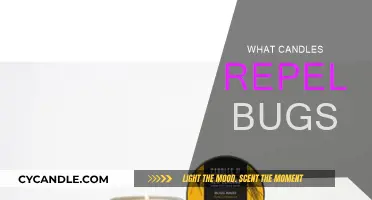 Citronella Candles: Natural Bug Repellent for Your Home