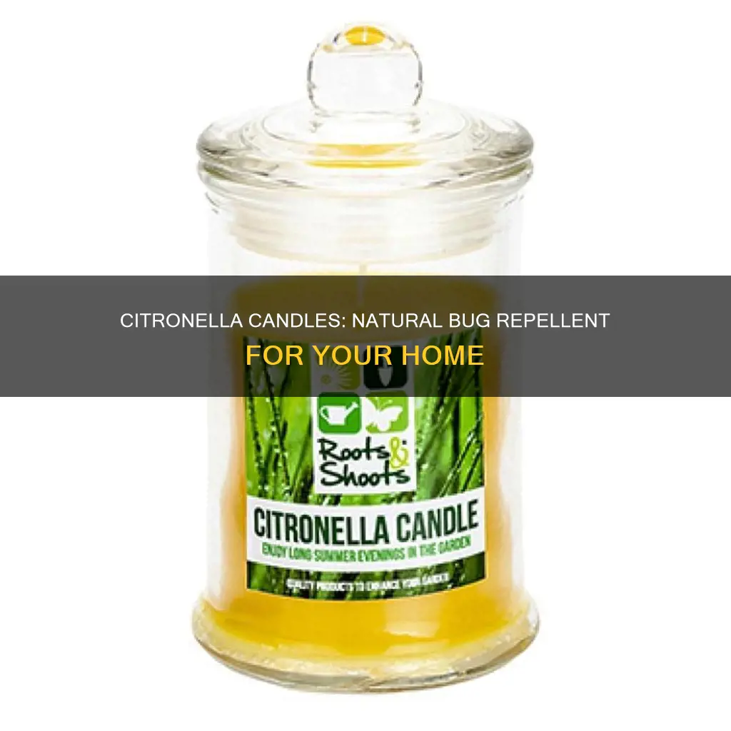 what candles repel bugs