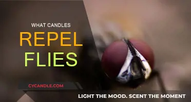 Fly-Repelling Scents: The Best Candles to Keep Flies Away