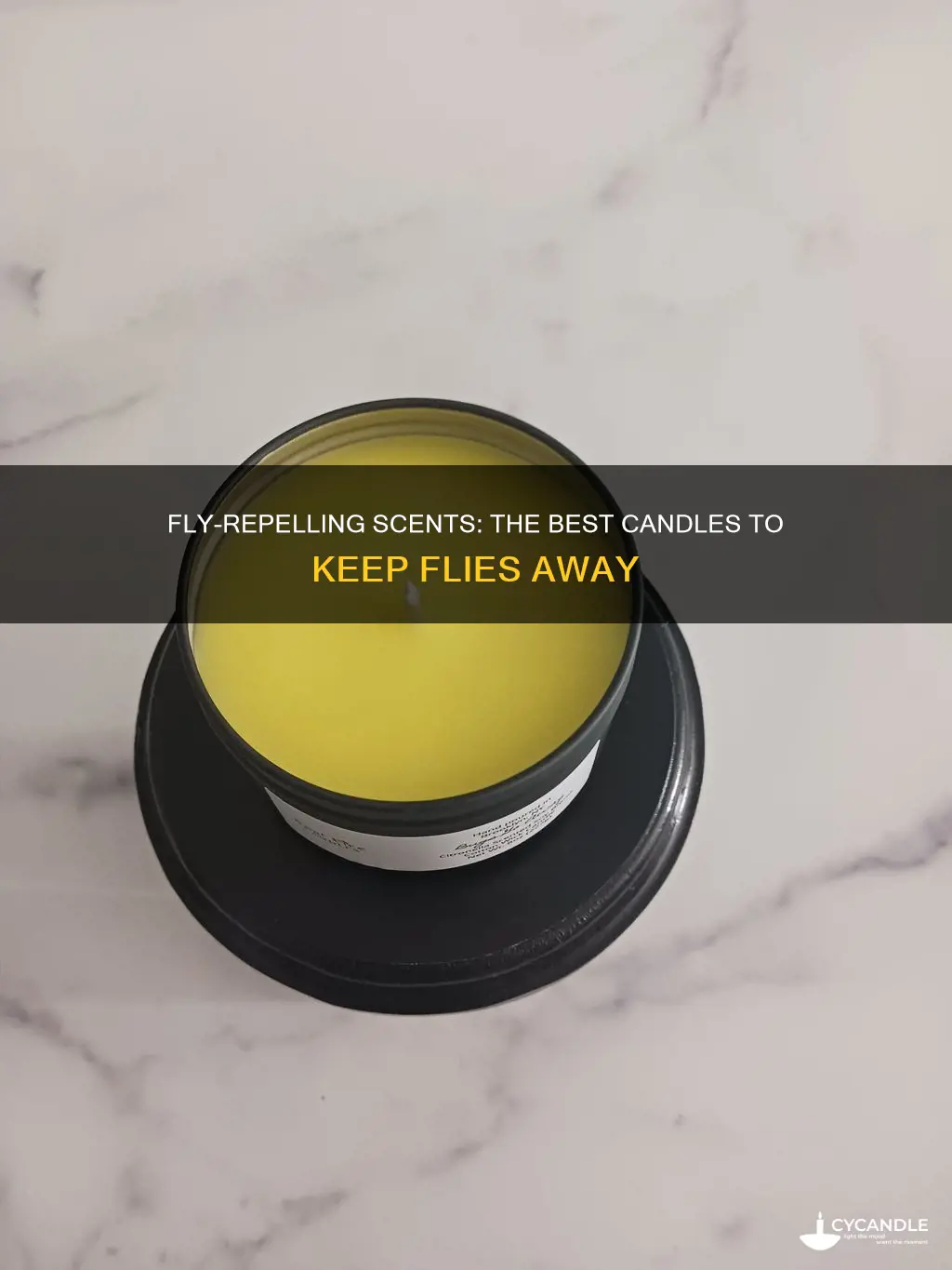 what candles repel flies
