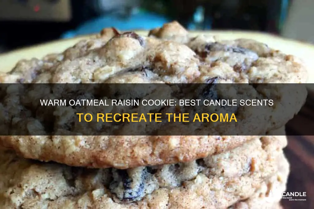what candles scents make oatmeal raisin cookie