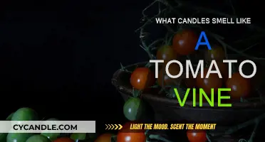 Tomato Vine Aromas: Candles That Smell Like Summer