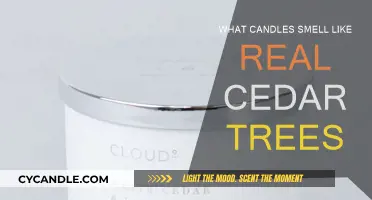 Candle Scents: Capturing Cedar's Essence