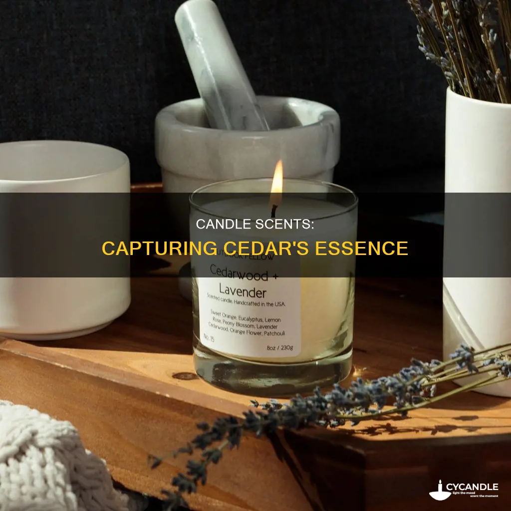 what candles smell like real cedar trees