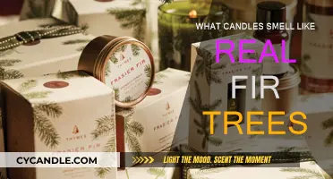 Candles That Smell Like Real Fir Trees: The Ultimate Guide