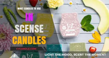 Choosing the Perfect Scentsy Candles: A Guide to Wax Melts and Warmers