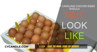 Candling Eggs: What Not to See