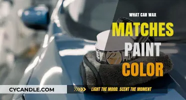 Automotive Aesthetics: Finding the Perfect Car Wax to Match Your Paint Color