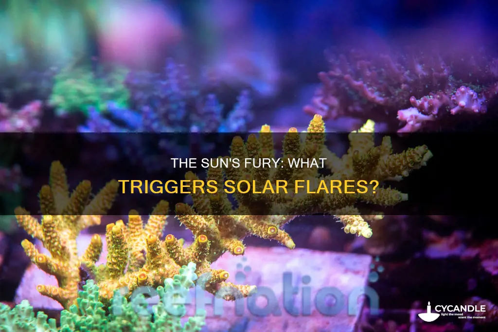 what causes a sun candle